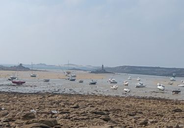 Randonnée Marche Pleumeur-Bodou - île grande - Photo