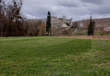 Excursión Senderismo Anhée - Maredsous _ GR _ NA _ RB 16 _ Paysage de la molignée - Photo