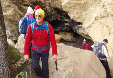 Tour Wandern Roche-Saint-Secret-Béconne - club - Photo