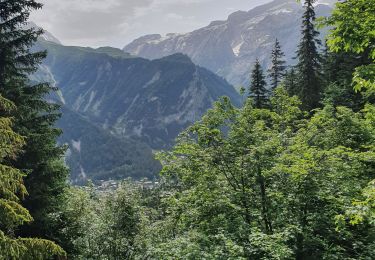 Percorso Marcia Pralognan-la-Vanoise - les crêtes du Mont Charvet - Photo