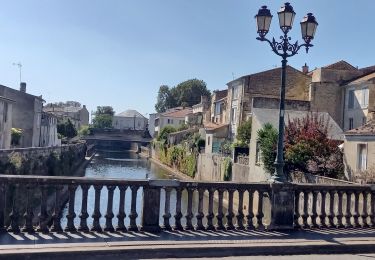 Randonnée Marche Saint-Cyr-des-Gâts - Le Défend St Cyr des Gats - Fontenay Le.Comte - Photo