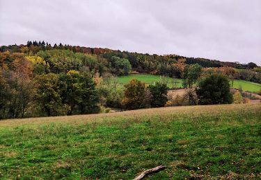 Tour Wandern Anthisnes - Boucle de la Bégasse  - Photo