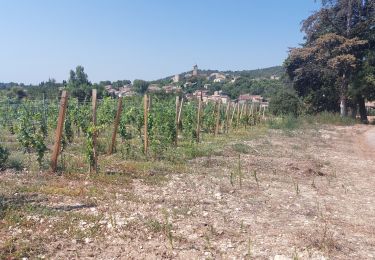 Randonnée V.T.T. Mormoiron - Chemin des Vendanges - Photo