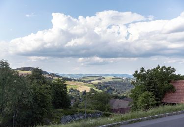 Trail On foot Gemeinde Bernstein - Redlschlag - Bernstein über Bienenhaus - Photo