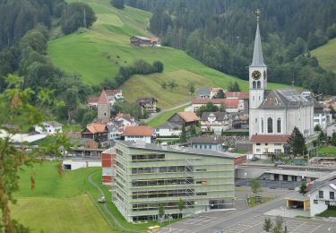 Tocht Te voet Alpthal - Oberdorf - Teuffeli - Photo