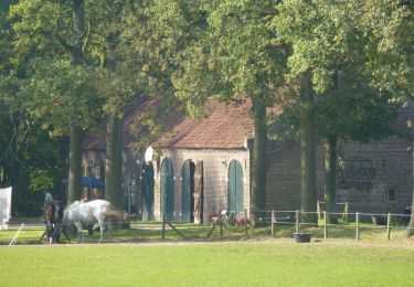 Randonnée A pied Geldrop-Mierlo - Strabrechtse Heide - Photo