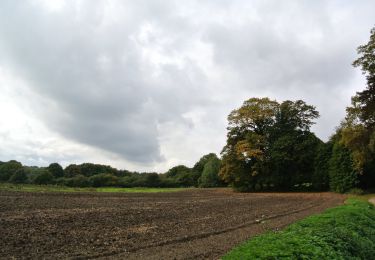 Percorso A piedi Rheden - Heuven Beekhuizen Veluwezoom - Photo