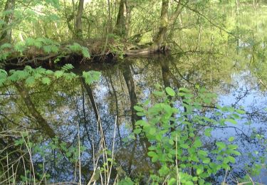 Trail On foot Enschede - Wandelnetwerk Twente - rode route - Photo