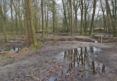 Percorso A piedi Boxtel - Oetendonkroute - Photo