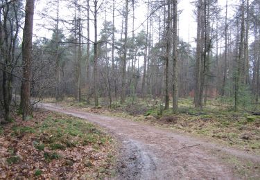 Tour Zu Fuß Barneveld - Putten naar Krachtighuizen - Photo