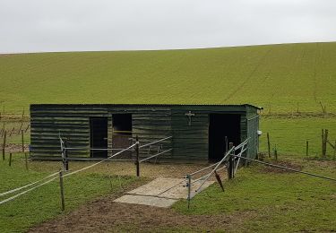 Tocht Te voet Beekdaelen - Zevenmijlslaarzenroute - Photo