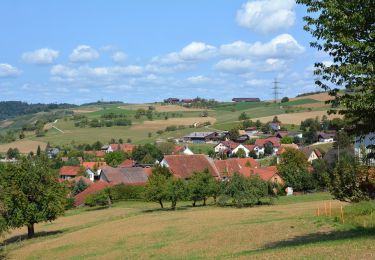 Percorso A piedi Gansingen - Laubberg - Wil - Photo