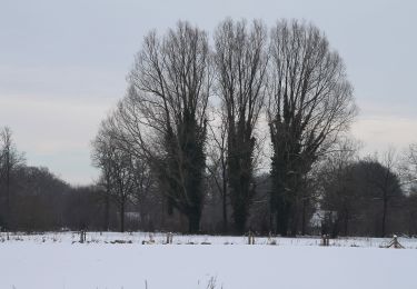 Randonnée A pied Hengelo - Wandelnetwerk Twente - gele route - Photo