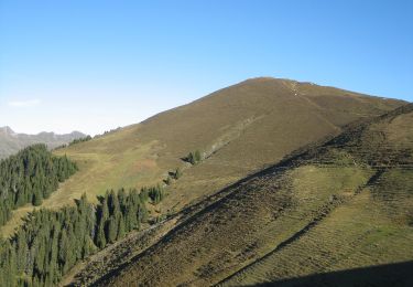 Tocht Te voet Cazis - Bischolapass-Präzer Höhi - Photo