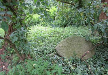 Tour Zu Fuß Putten - Putterbos Wandeling - Photo