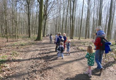 Excursión Senderismo Braine-Le-Comte - RF-BB-06 - Hennuyères - Grande Boucle - 2025-03-05 - Photo