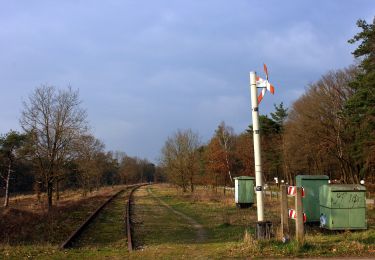 Randonnée A pied Berg en Dal - Kraaiendalroute - Photo