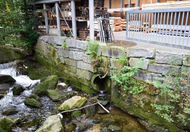 Percorso A piedi Gossau (ZH) - Berghof - Schloss Uster - Photo