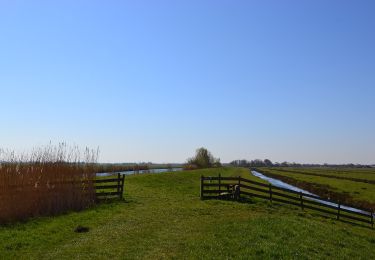 Tour Zu Fuß Bodegraven-Reeuwijk - Bruinegoudroute - Photo