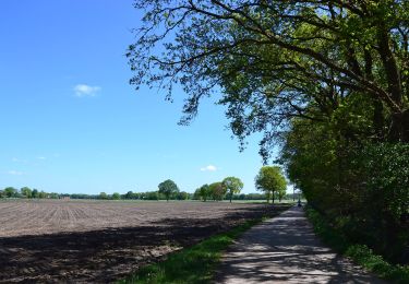 Tour Zu Fuß Haaksbergen - Wandelnetwerk Twente - groene route - Photo