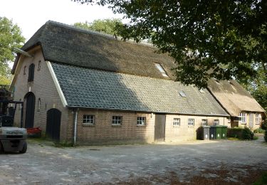 Tocht Te voet Barneveld - Klompenpaden - Photo