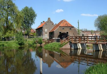 Trail On foot Peel en Maas - Hanssum route - Photo