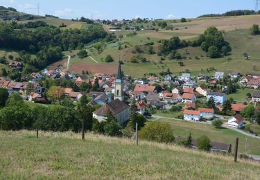 Tocht Te voet Mettauertal - Mettau Postauto - Sulz - Photo