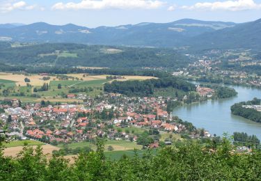 Tocht Te voet Maisprach - Sunneberg - Spitzgraben - Photo