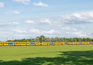 Percorso A piedi Boxtel - Heerenbeekroute - Photo