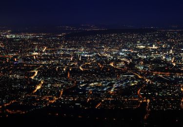 Randonnée A pied Stallikon - Uitikon Waldegg Station - Uetliberg Kulm - Photo