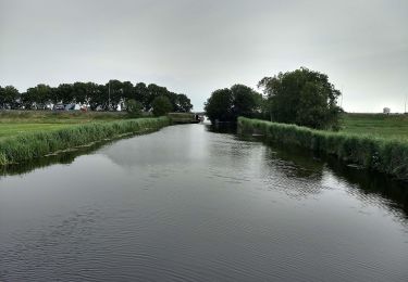 Tour Zu Fuß Bodegraven-Reeuwijk - Wierickepad - Photo