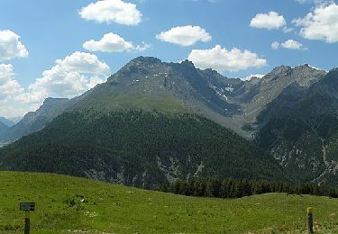 Tour Zu Fuß Münstertal - Nationalpark Wanderroute 15 (Munt la Schera) - Photo