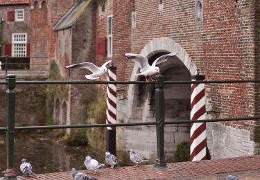 Randonnée A pied Amersfoort - Landschapspad Hoogland-West - Photo