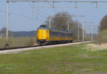 Tour Zu Fuß Deventer - WNW Salland - Diepenveen - groene route - Photo