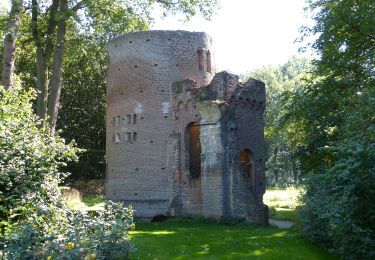 Tour Zu Fuß Olst-Wijhe - WNW Salland - De Haere/Nijendal - paarse route - Photo