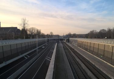 Tour Zu Fuß Hellendoorn - WNW Twente - Wilgenweerd - gele route - Photo