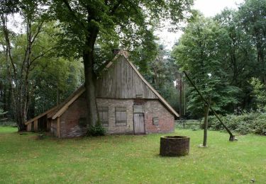 Randonnée A pied Haaksbergen - Wandelnetwerk Twente - oranje route - Photo