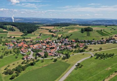 Tocht Te voet Mandach - Mandach - Beznau Steg - Photo