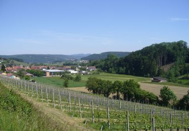 Tocht Te voet Remigen - Remigen - Ufem Berg - Photo