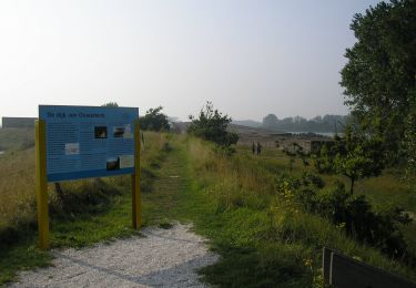 Randonnée A pied Schouwen-Duiveland - De Vier Bannen - Photo