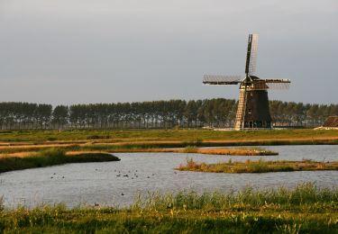 Excursión A pie Koggenland - Rondje Wogmeer - Photo