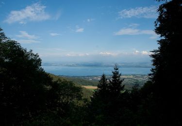 Randonnée A pied Rochefort - La Tourne-Noiraigue - Photo