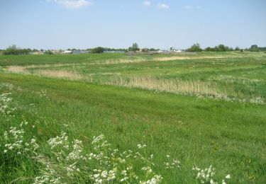 Trail On foot Kaag en Braassem - Zwetpolderroute - Photo