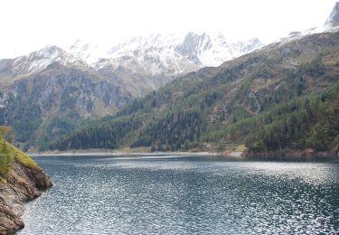 Tour Zu Fuß Blenio - Diga Luzzone-Prato di Compietto - Photo