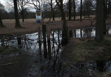 Percorso A piedi Boxtel - Blauw - Photo