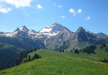 Tour Wandern Manigod - La pointe d'Orsière - Photo