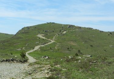 Tour Zu Fuß Genua - San Carlo di Cese - Punta Martin - Photo