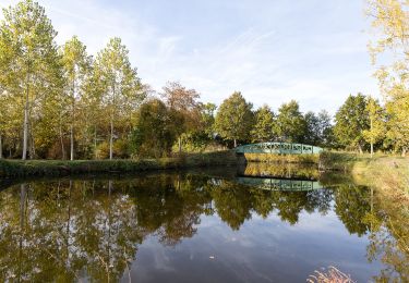 Trail On foot Rennes - Circuit des Louvries - Photo