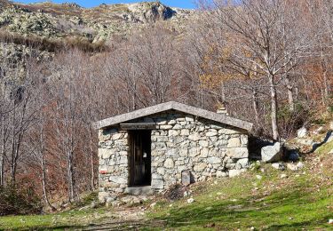 Trail On foot Ghisoni - Monte Renoso - Photo