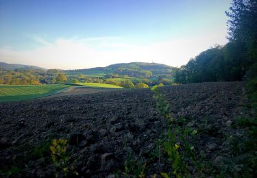 Trail On foot Seeheim-Jugenheim - Ortsrundwanderweg Ober-Beerbach 2: Panorama Weg - Photo